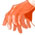 illustr_nihal-p2.jpg